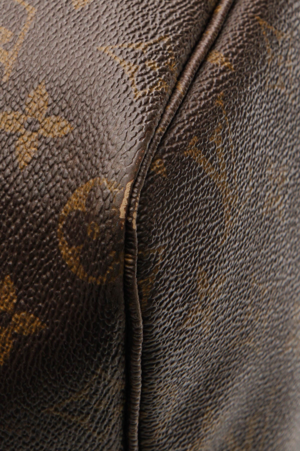 Neverfull GM Tote Bag - Monogram