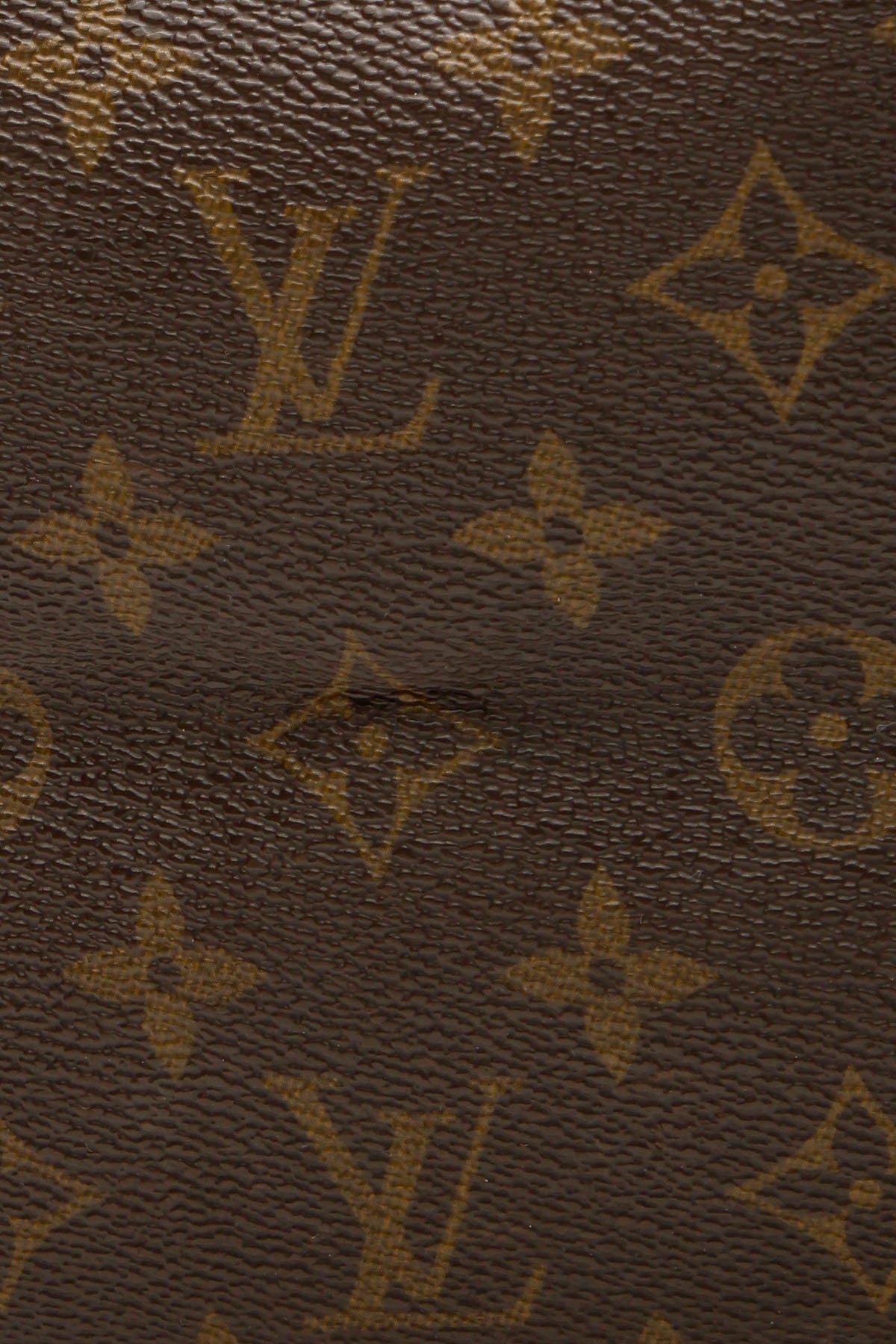 Neverfull GM Tote Bag - Monogram