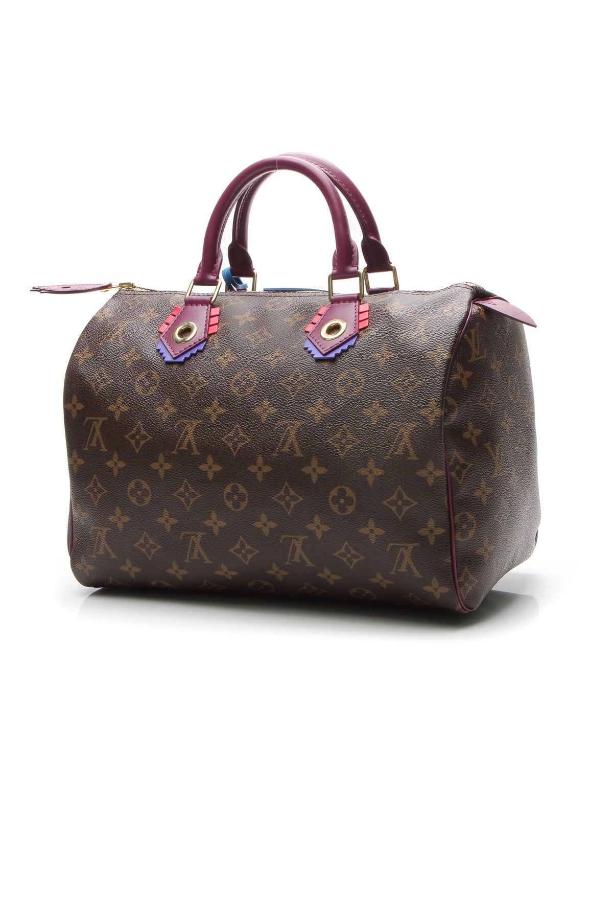 Totem Speedy 30 Bag - Monogram