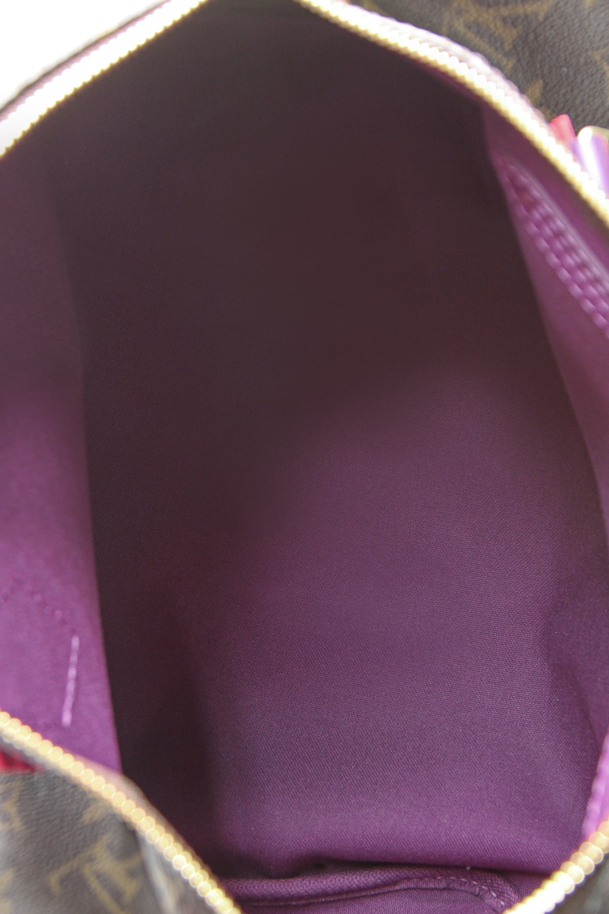 Totem Speedy 30 Bag - Monogram