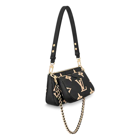 Multi Pochette Accessories