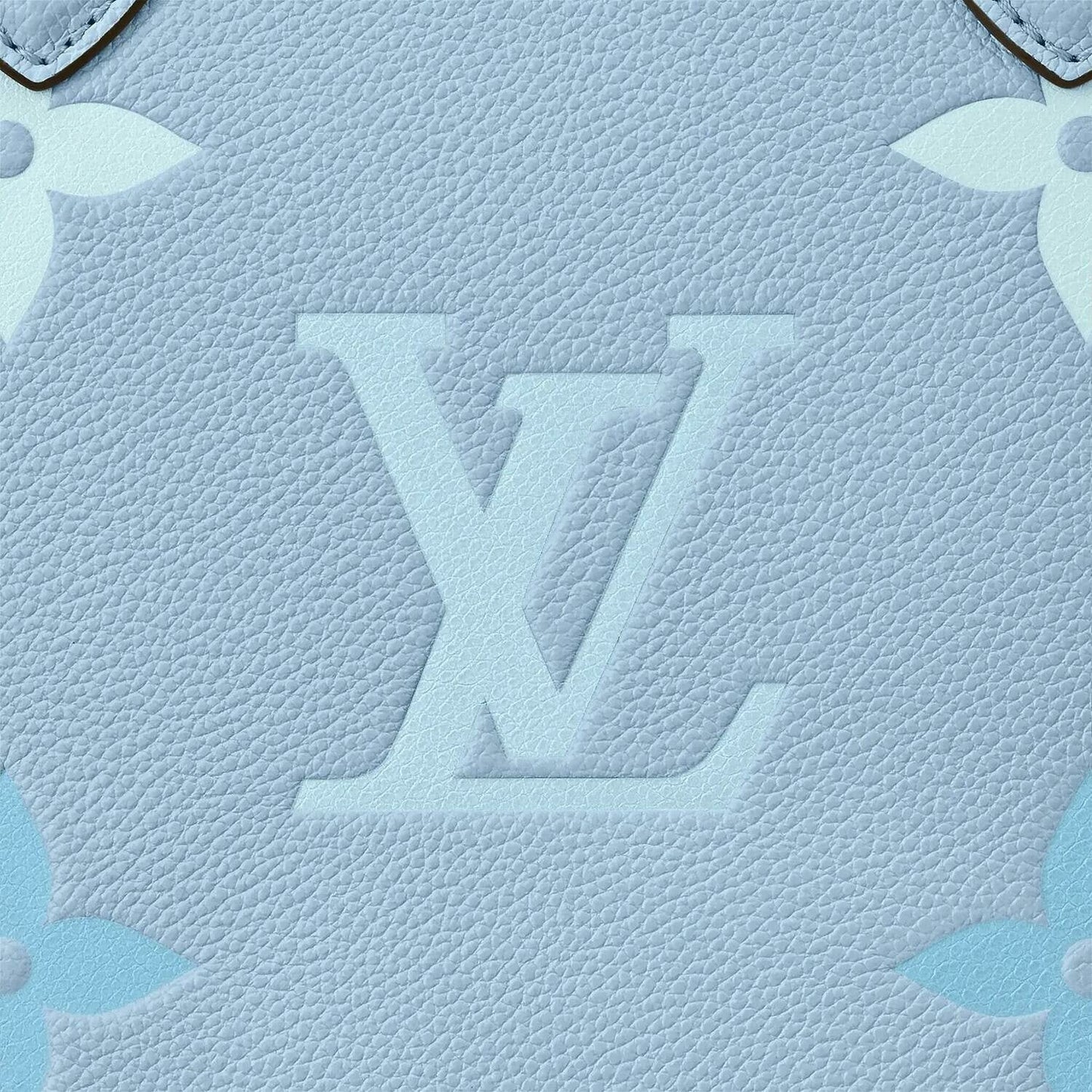 Louis Vuitton Onthego MM