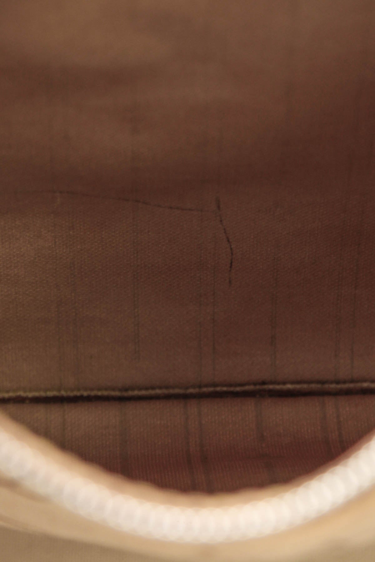 Neverfull GM Tote Bag - Monogram