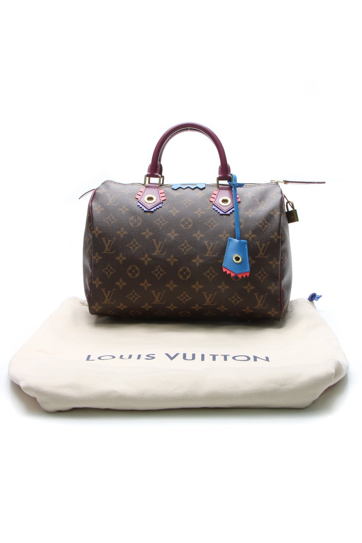 Totem Speedy 30 Bag - Monogram