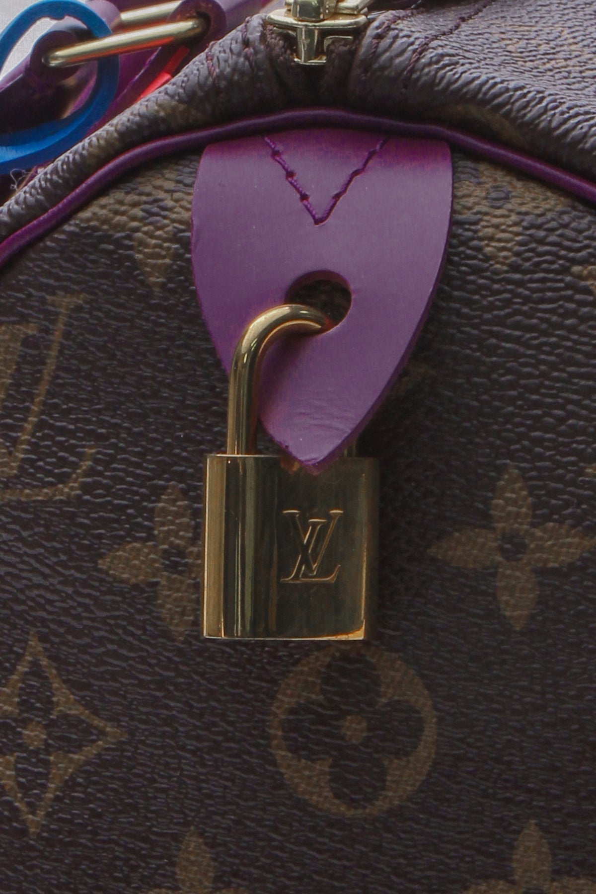 Totem Speedy 30 Bag - Monogram