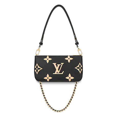 Multi Pochette Accessories