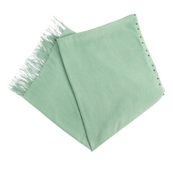 Luxily Mint Green Embellished Woolen Shawl - Image 4