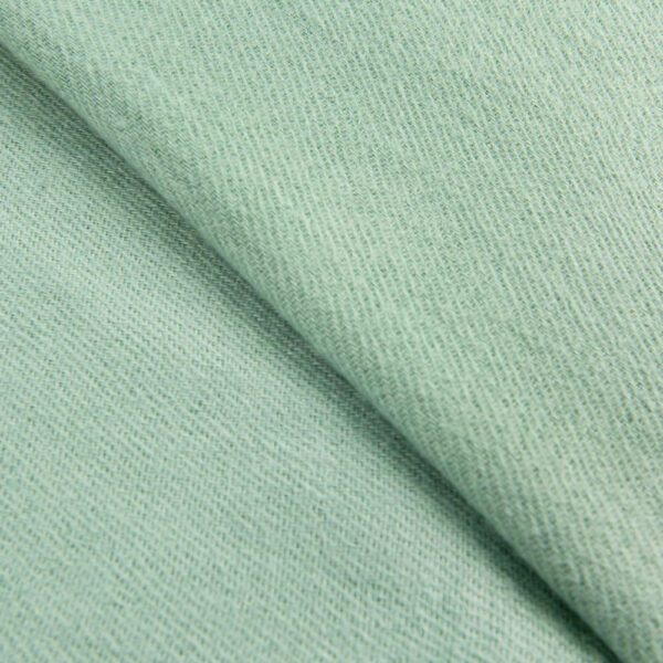 Luxily Mint Green Embellished Woolen Shawl - Image 2