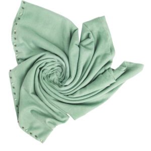Luxily Mint Green Embellished Woolen Shawl