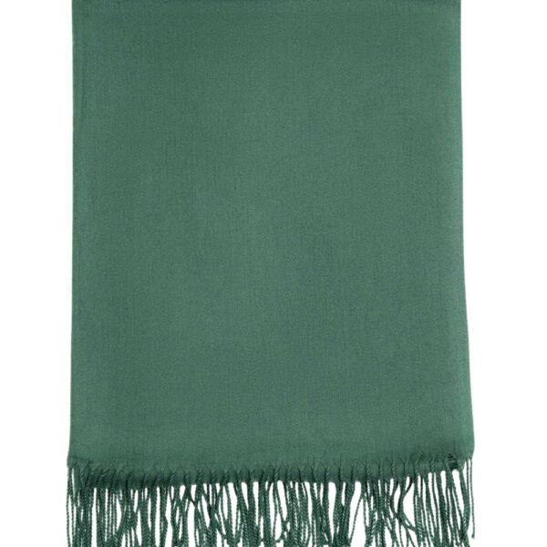 Luxily Teal Green Dyed Woolen Shawl - Image 4