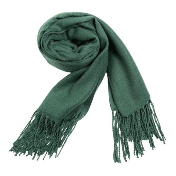 Luxily Teal Green Dyed Woolen Shawl - Image 2
