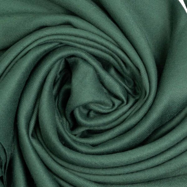 Luxily Teal Green Dyed Woolen Shawl