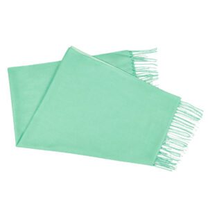 Luxily Sea Green Two Tone Woolen Shawl