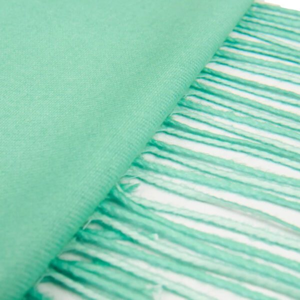 Luxily Sea Green Two Tone Woolen Shawl - Image 2
